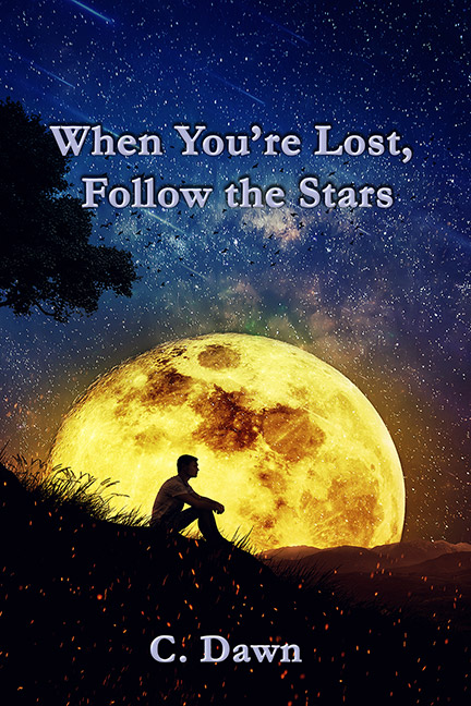 When You're Lost, Follow The Stars by C. Dawn - Click Image to Close