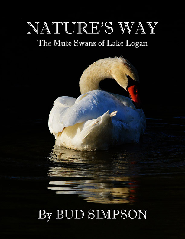 Nature's Way: The Mute Swans of Lake Logan, Ohio by Simpson - Click Image to Close