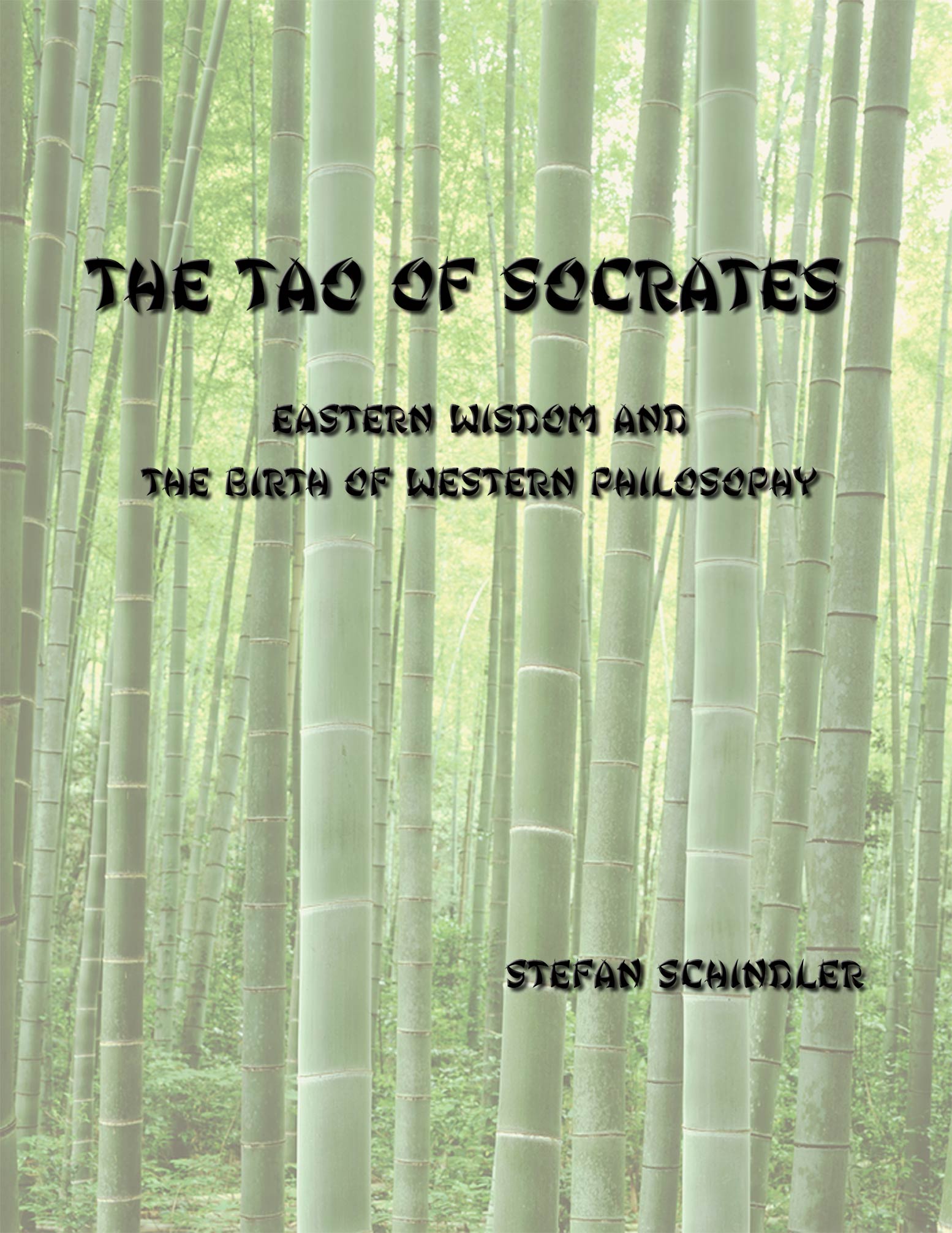 The Tao of Socrates by Stefan Schindler