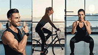 Fitness, Health, Wellness