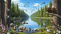 Nature