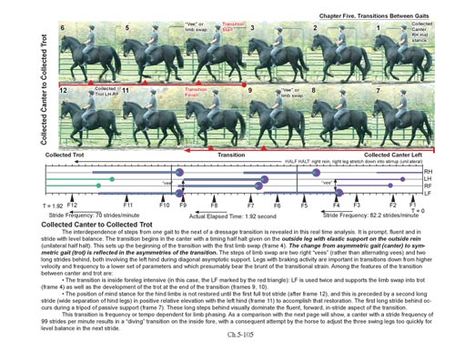 BioMechanical Riding and Dressage: A Rider's Atlas by Nicholson - Biblio Bookstore