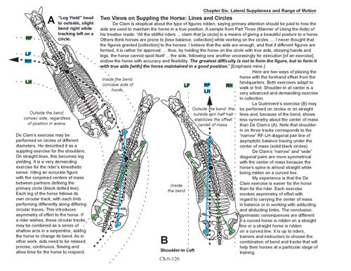 BioMechanical Riding and Dressage: A Rider's Atlas by Nicholson - Biblio Bookstore
