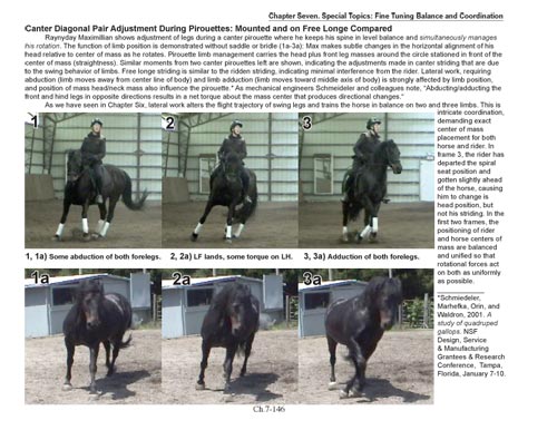 BioMechanical Riding and Dressage: A Rider's Atlas by Nicholson - Biblio Bookstore