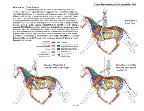 BioMechanical Riding and Dressage: A Rider's Atlas by Nicholson - Biblio Bookstore