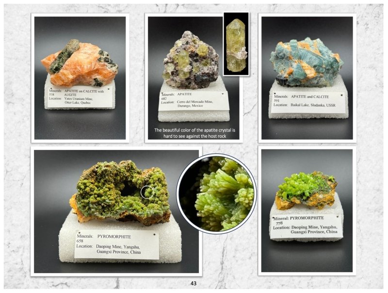 Friends of Mine: the Mineral Collection of Milton L. Leet - Biblio Bookstore
