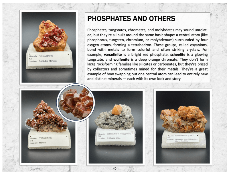 Friends of Mine: the Mineral Collection of Milton L. Leet - Biblio Bookstore