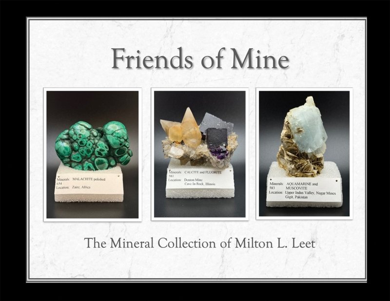 Friends of Mine: the Mineral Collection of Milton L. Leet - Biblio Bookstore
