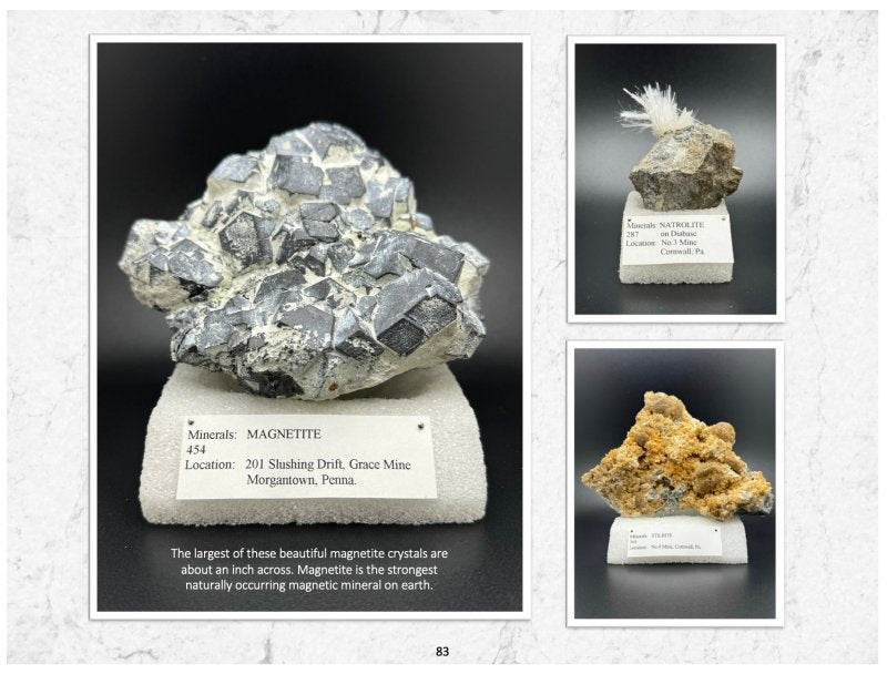 Friends of Mine: the Mineral Collection of Milton L. Leet - Biblio Bookstore