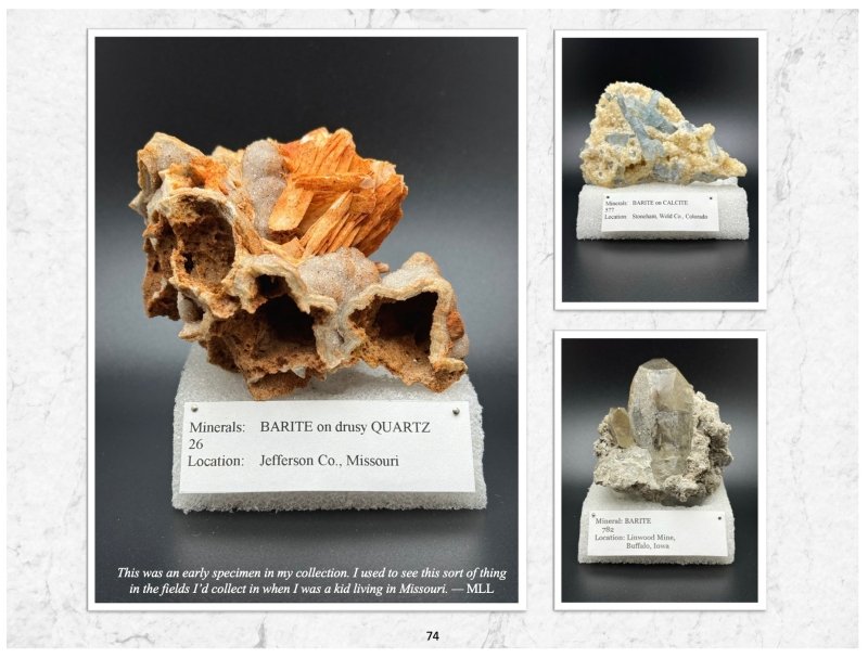 Friends of Mine: the Mineral Collection of Milton L. Leet - Biblio Bookstore