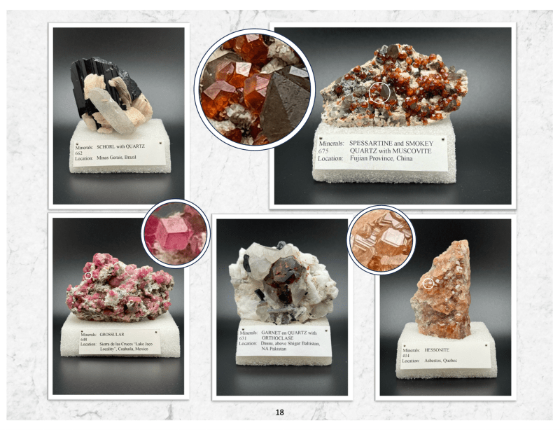 Friends of Mine: the Mineral Collection of Milton L. Leet - Biblio Bookstore