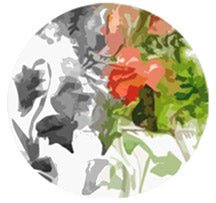 Mindfulness in Motion by Maryanna Klatt, PhD - Biblio Bookstore