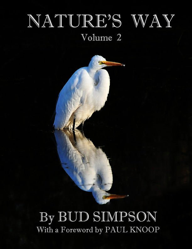 Nature's Way Volume 2: The Great Egret by Bud Simpson - Biblio Bookstore
