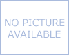 Flinn Performance Screening Tool Ratings Forms