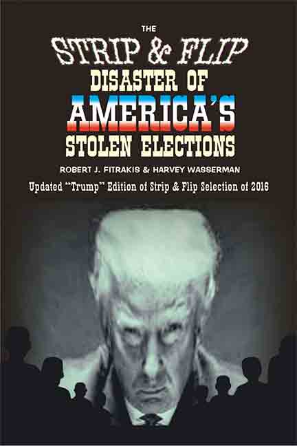 The Strip & Flip Disaster of America's Stolen Elections: Updated - Biblio Bookstore