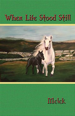 When Life Stood Still by Melek - Biblio Bookstore