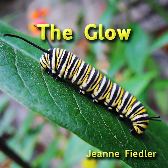 The Glow by Jeanne Fiedler - Click Image to Close